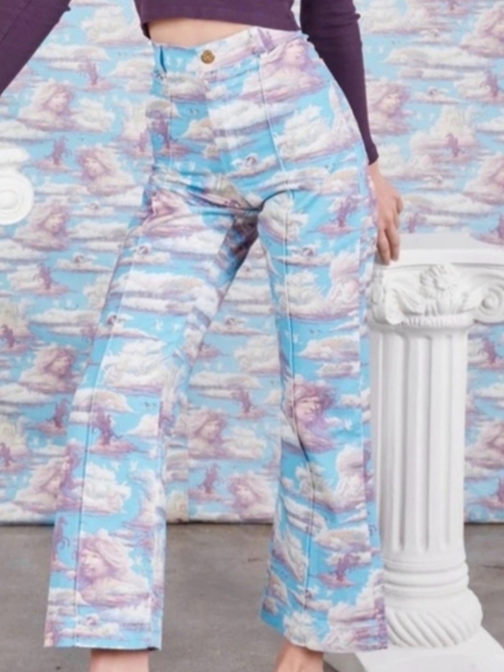 Big Bud Press Cloud Kingdom Pants Size 0XL never worn